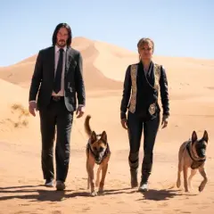 Rola psów w John Wick 3: od wiernych przyjaciół do zabójców