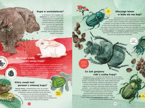 Zwierzęta nocy - fascynująca powieść Austina Wrighta o mrocznej stronie życia