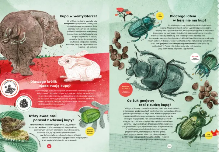 Zwierzęta nocy - fascynująca powieść Austina Wrighta o mrocznej stronie życia