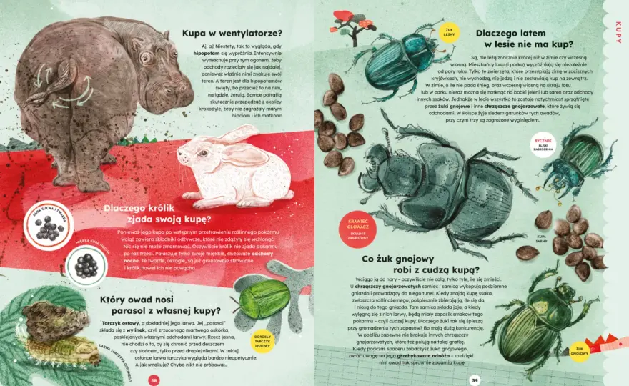Zwierzęta nocy - fascynująca powieść Austina Wrighta o mrocznej stronie życia